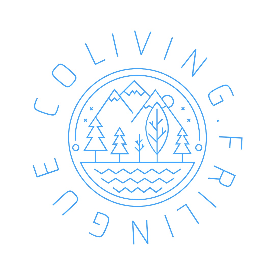 coliving.frilingue.ch
